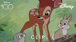 Thumper Teaches Bambi To Walk | Bambi | Disney UK