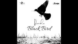 DANOLA- BLACK BIRD (LYRICS)