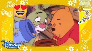 Winnie The Pooh | En İyi Dostlar: Winnie ve Tavşan  | Disney Channel Türkiye