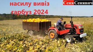 Бізнес на зернятах, МЕГА УРОЖАЙ гарбуза 2024, нагрузили цілу гору, будем молотить і робить ГРОШІ