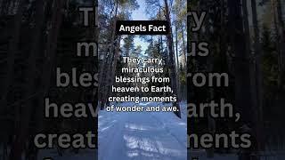The Enigma of Angels: Surprising Revelations #Angels #Celestial #DivineMessengers