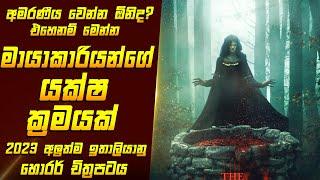 "ද වෙල්" චිත්‍රපටයේ කතාව සිංහලෙන් - Movie Review Sinhala | Home Cinema Sinhala