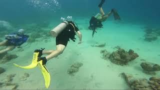 Curacao Scuba Diving and Snorkeling, April 2022