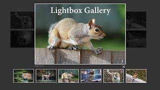 How To Create Image Gallery In HTML, CSS and Javascript  Lightbox Gallery