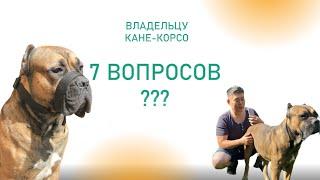 Порода Кане-Корсо - 7 вопросов хозяину