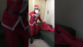 Papai Noel?