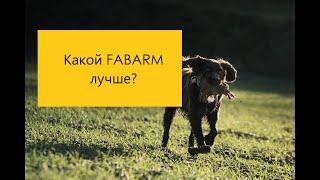 FABARM XLR PALAMBUS или XLR WESTERN какое купить ружье . Разница между самыми популярными моделями