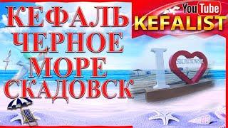 Кефаль - Чёрное море - Скадовск