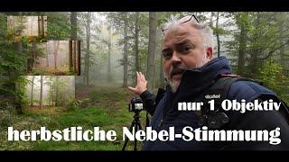 Landschaftsfotografie | herbstliche Nebel-Stimmung | mit nur 1 OBJEKTIV | Wald Relaxing Fotografie