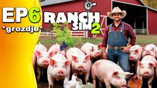 POSADIO GROŽĐE, IMANJE NAPREDUJE, NOVE ŽIVOTINJE! *Ranch Simulator 2* EP6