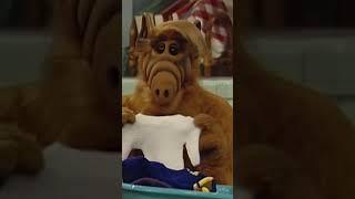 Honey, ALF shrunk the sweater! 