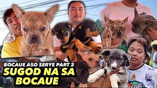 DAMING MALTESE | BOCAUE ASO SERYE PART 2 | JANUARY 10, 2025