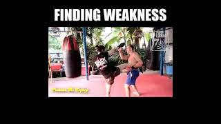 Arjan Surat - Finding Weakness | Muay Thai Library (Onyx MMA edit, trailer)