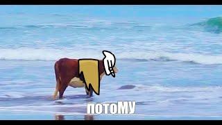 Вот почему мне нужен желтый плащ/Thats why i need yellow cape/Sky animation