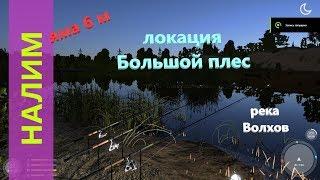 Русская рыбалка 4 - река Волхов - Налим за камышами