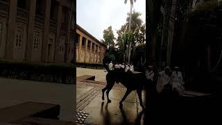 District Court Pune | Shivaji Nagar Court | Pune Court | Time Lapse | District Court Building