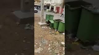 (Morocco is the best ever) A Moroccan citizen sleeps in a garbage container among the garbage BRAVO