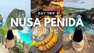 NUSA PENIDA day trip from BALI and Japanese Gyukatsu (Bali Travel Vlog)