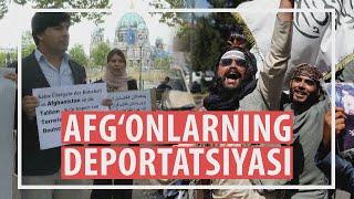 Germaniya deportatsiyalarni e’lon qilar ekan, afg‘onlar kelajaklaridan xavotirda