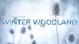 WINTER Woodland Photography | Winter Woodland Imagery | Winter Woods | Geoff Moore Photography