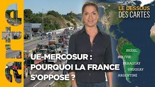 UE-MERCOSUR : les raisons de la colère | L'Essentiel du Dessous des Cartes | ARTE