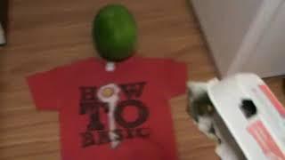 How To Kill Someone (Deleted HowToBasic Video)