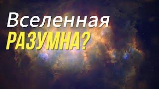 Вселенная и разум: Что, если она думает? / Does the Universe Think Like a Human?