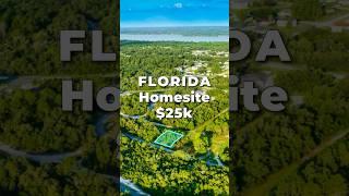 LAND for SALE in FLORIDA with Power & Water • LANDIO