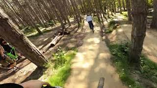 badger trap twisted oak bike park