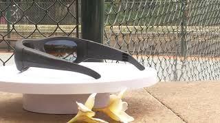OhO Sunshine Brave Smart Glasses with 4K Camera