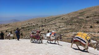 The Incredible Migration of Iranian Nomads: A Journey to the Mountain Peaks (2023)