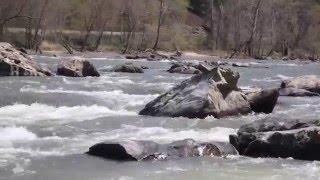 NC River Revelry