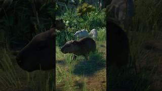 Adorable Baby Capybara in our Tropical Zoo | Planet Zoo