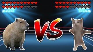 Capybara vs Shnappi cat! Meme battle