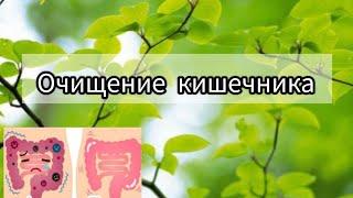 очищение кишечника