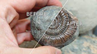 Prepping a 180 million year old Yorkshire ammonite [fossil prep time-lapse]