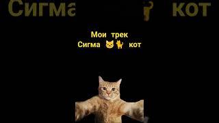 Мои трек Сигма  кот #music #cat #duet #alina