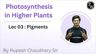 Photosynthesis in Higher Plants 03