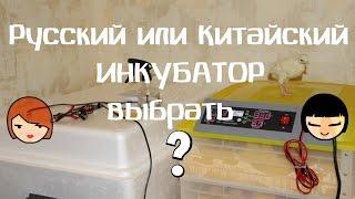 Какой инкубатор выбрать? Китайский или русский?