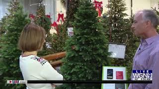 Treetime & WGN Magic Fir Showcase