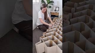 A Cozy and Temporary Bed for Guests | Cardboard Bed for Overnight Visitors