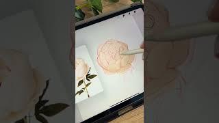 Drawing peony #process #drawing #stepbystep #sketch #какрисоватьцветы #peony