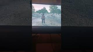 hunting some wolves ... this is my first short so it's not great