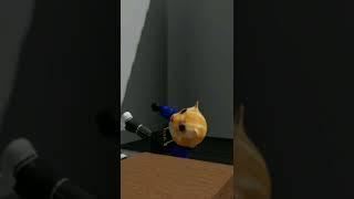 EYYCHEEV wins:)))))))
