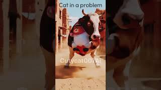 Cat face to cow @Cutycat007Ai #hallal #cat #ai #shorts #funny #cartoon