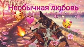 Необычная любовь 1серия {Wildcraft}