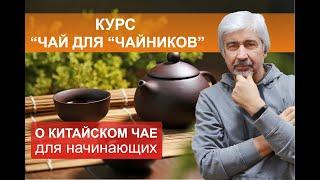 Курс "Чай для "чайников"