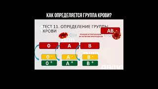 Как определяется группа крови? #группакрови