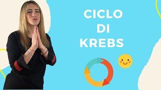 CICLO DI KREBS e bilancio energetico - basta confusione