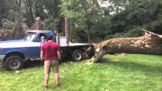 Timber Forge rams truck into fallen ash tree